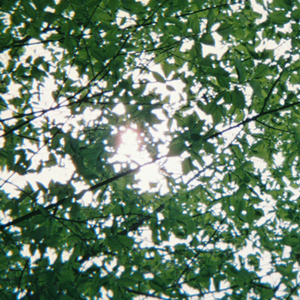 男男野外做爰全过程69
