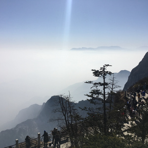 男男野外做爰全过程69
